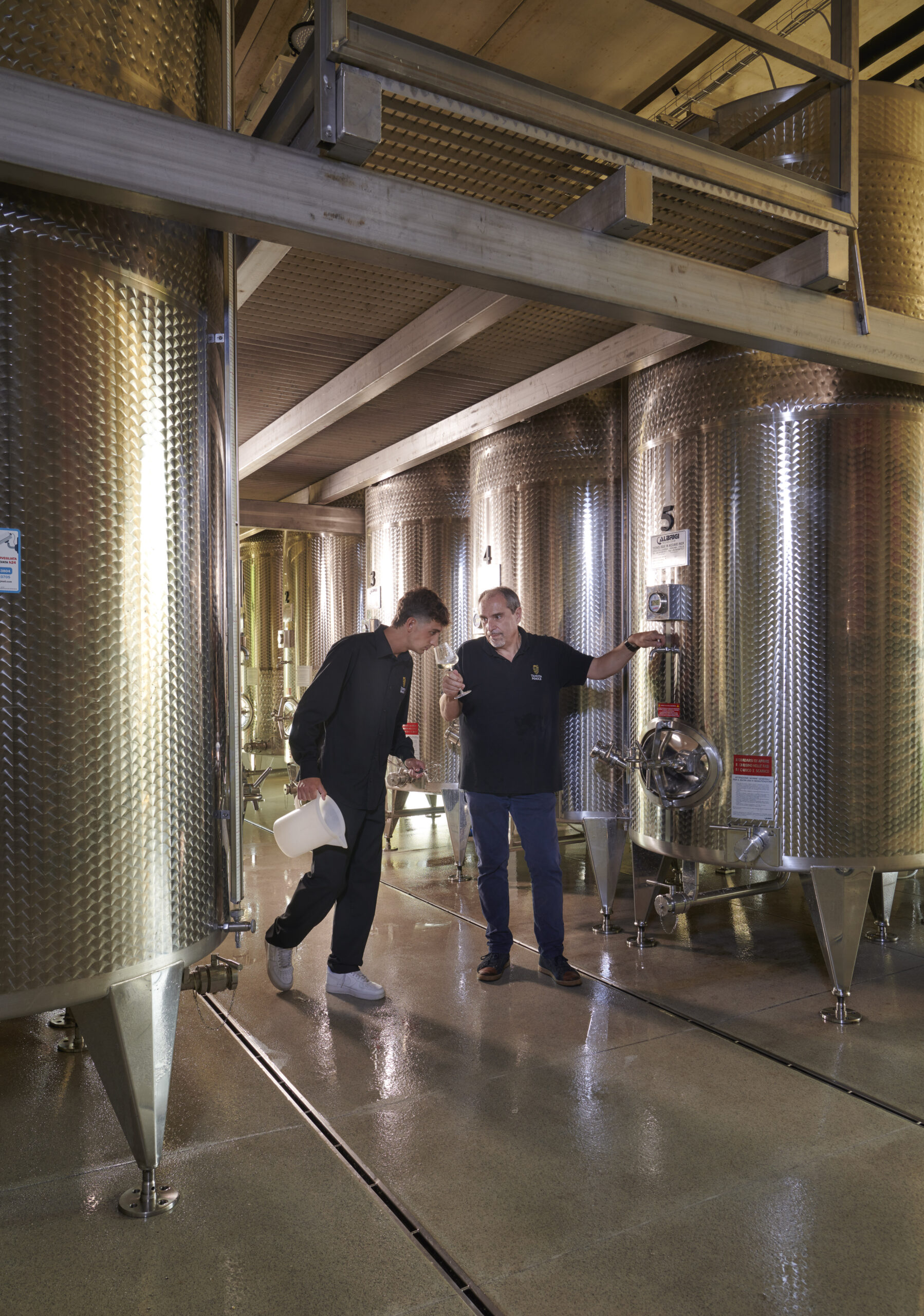 Tenuta Maule 20254397