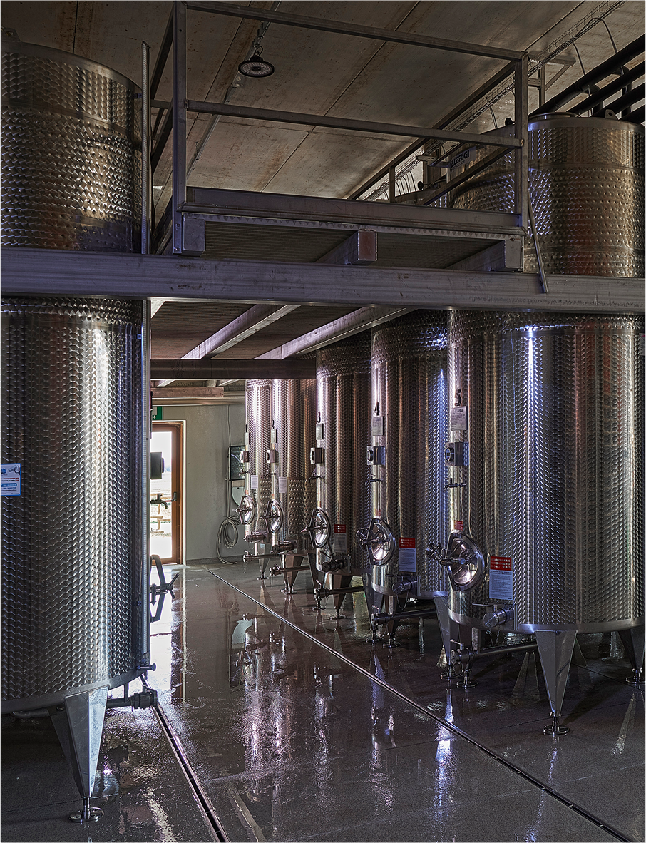 immagini maule_Tavola disegno 1 1