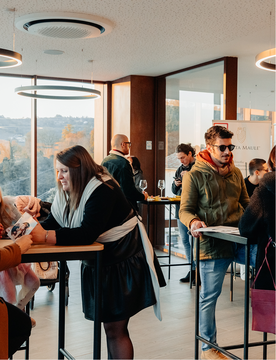 immagini maule_Tavola disegno 1 1