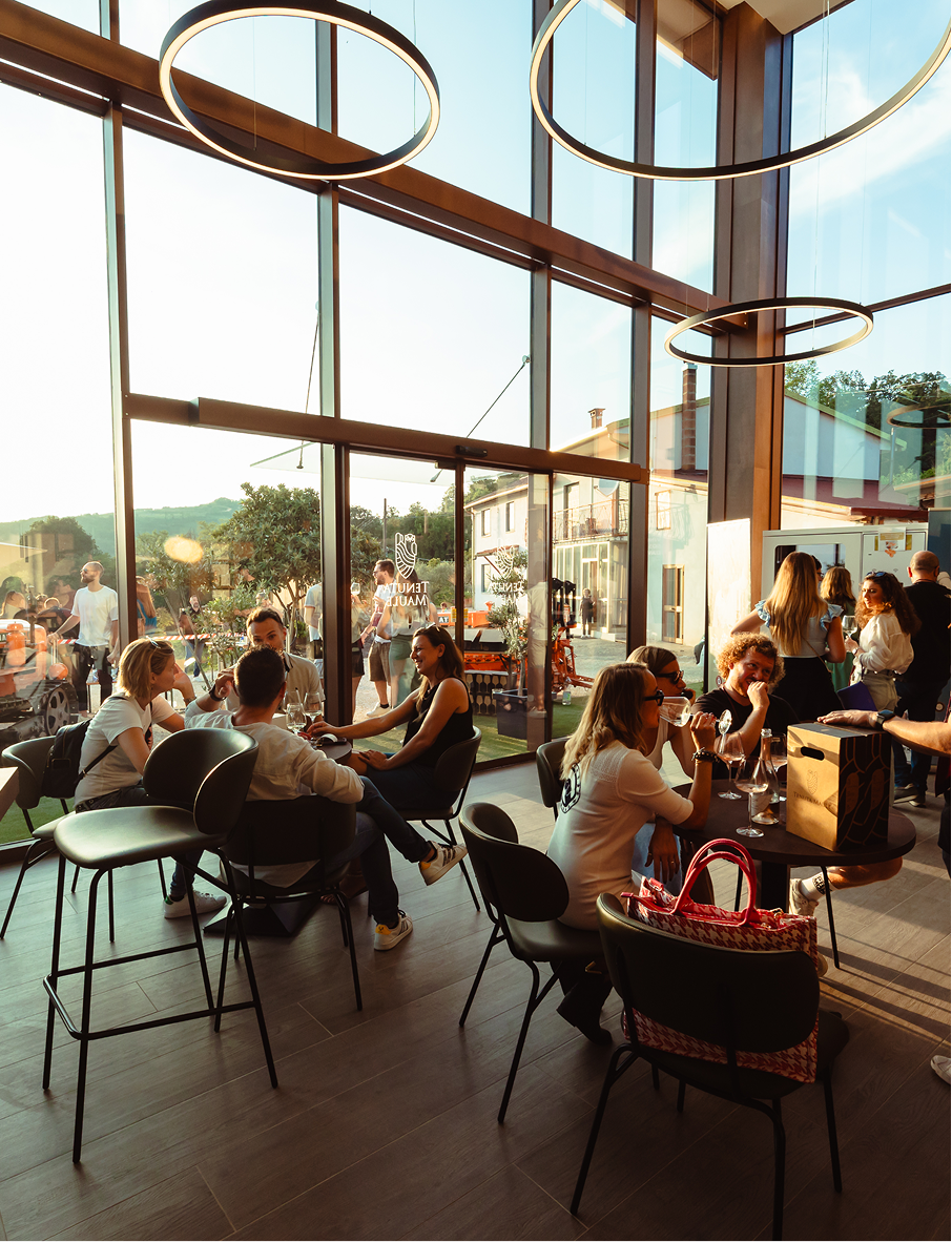 immagini maule_Tavola disegno 1 15