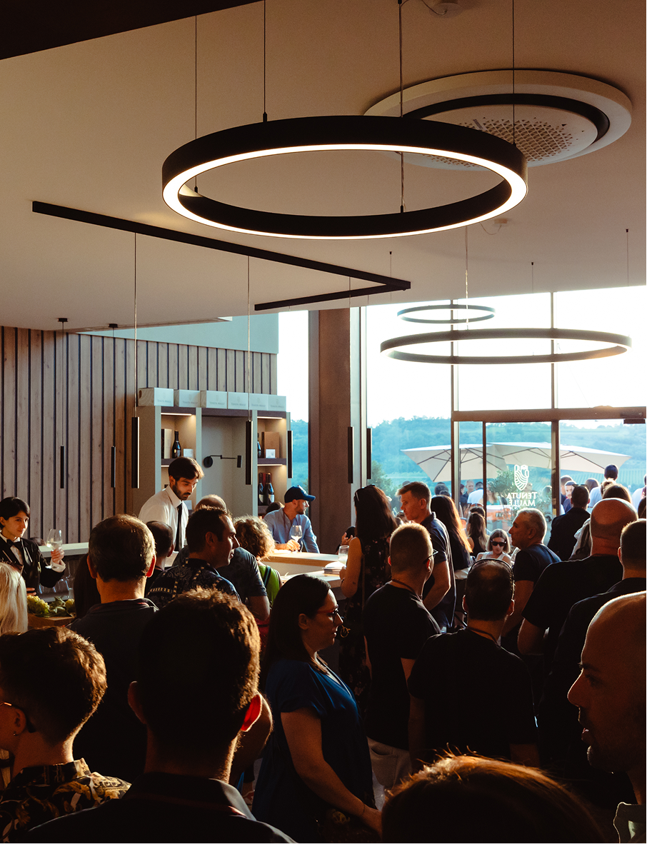 immagini maule_Tavola disegno 1 3